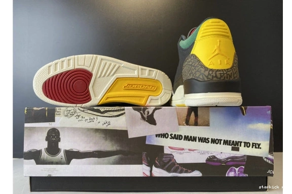 Retro 3 Air Animal SE Jordan CV3583-003 CV3583-003 Instinct 2.0 1016